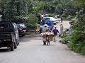 2007 07 14 BALI 011